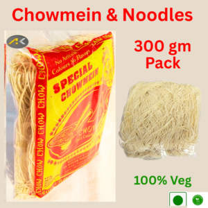 chowmein hakka noodles chowmein hakka noodles veg noodles